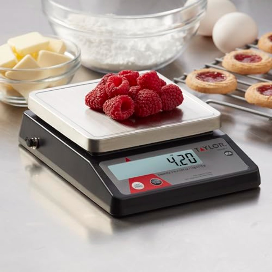 Compact Digital Portion Contro - Portion Scale Digital reseña y precio