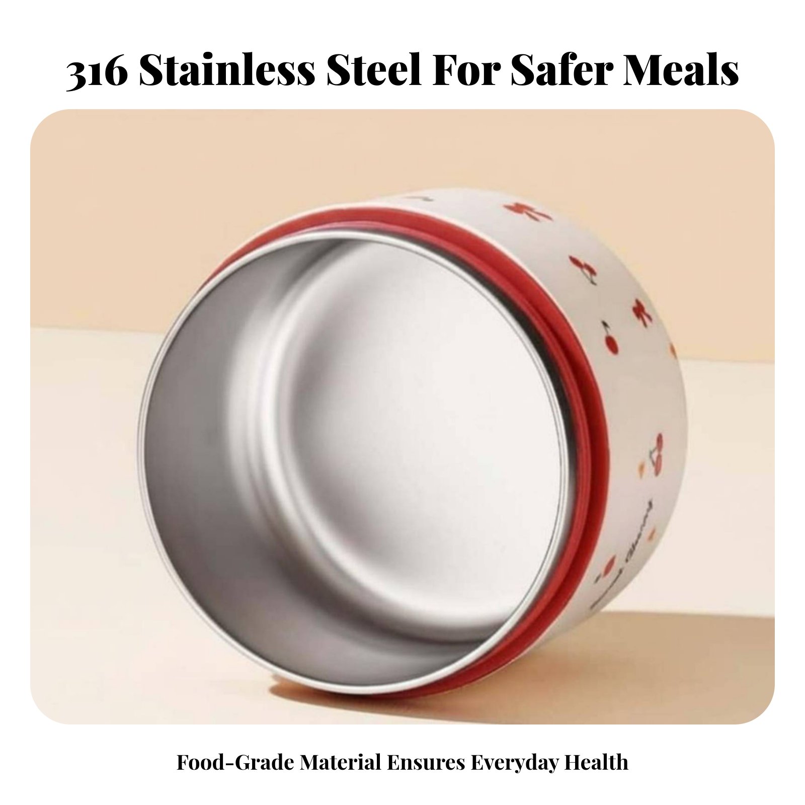 316 Stainless Steel Double-Tie - Stainless Bento Box reseña y precio